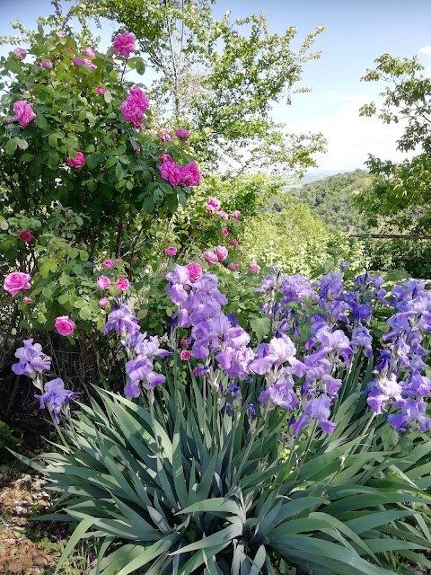 Agriturismo "Monte Genesio"