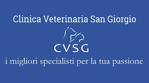 Clinica Veterinaria San Giorgio