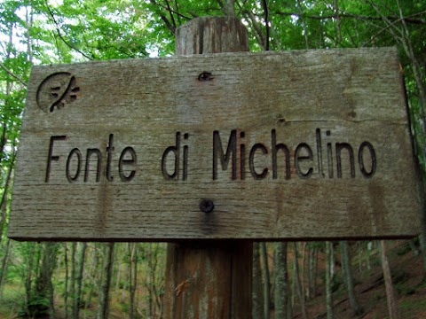 Fonte di Michelino