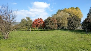 Circolo Di Legambiente Occhi Verdi