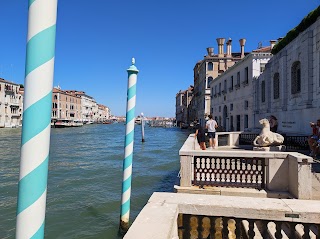 Peggy Guggenheim Collection