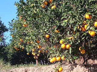 Azienda Agricola AgriRiggio Salumificio, Agriturismo, Macelleria-Punto vendita aziendale Campagna Amica Slow Food