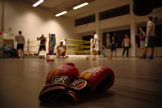 Accademia Boxe Cremona