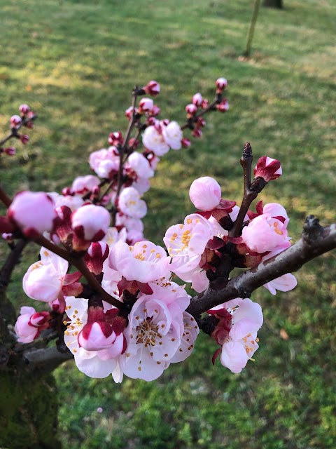 Dimora di Campagna