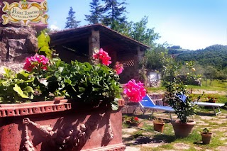 Podere Terreno alla via della Volpaia