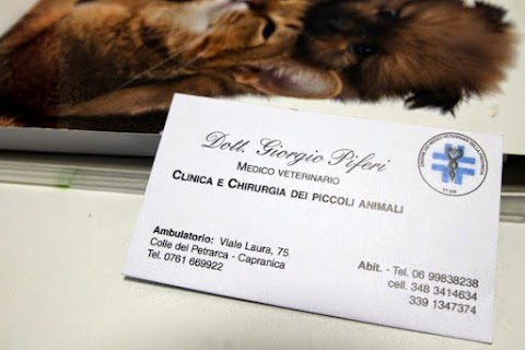 Ambulatorio Veterinario Dr. Piferi