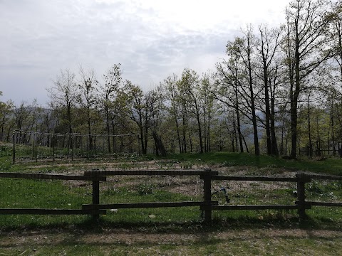 La Fattoria nel bosco