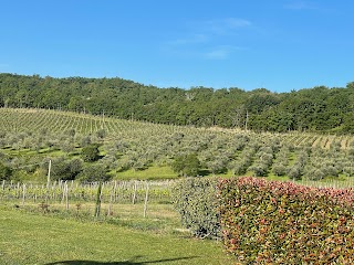 Panzanello Chianti Winery