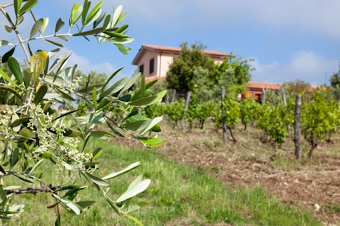 Agriturismo Casale Sasso