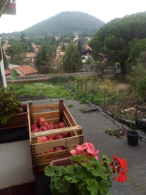 Il Giardino di Leoca