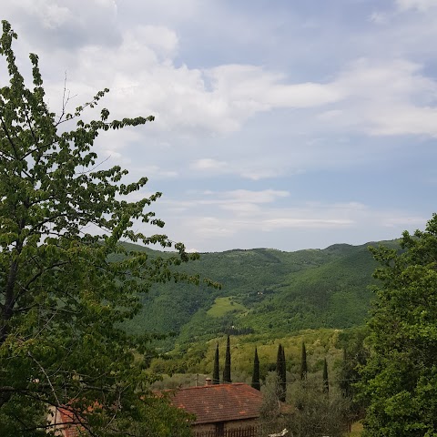 AGRITURISMO COLOGNOLE CHIANTI Rufina Firenze Toscana