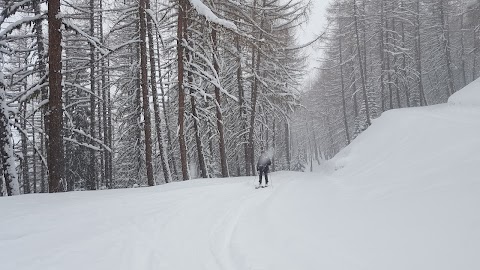 Associazione Maestri di Sci Gran San Bernardo