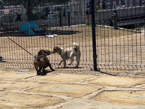 Spiaggia per cani