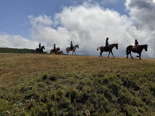 Horse Riding Tours & Trekking