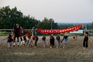 Liberi e Selvaggi asd