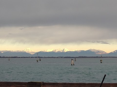 Associazione Remiera Canottieri Cannaregio