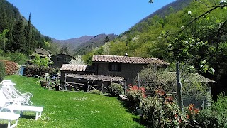 Piccolo Agriturismo Lavana (6 posti letto - No Ristorante)