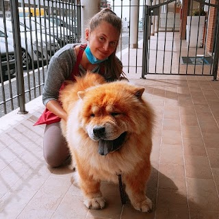 Happy dog fiano romano