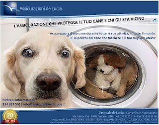 Assicurazioni de Lucia