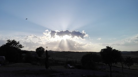 La Collina del Pane az. ag. Scuderi