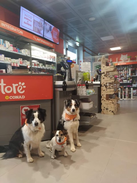 PETSTORE CONAD