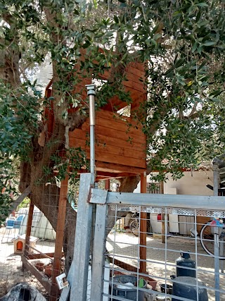 Tabaccheria e Ricevitoria di Gigante Gianmarco