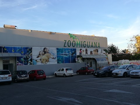 Zoomiguana Il Megastore Degli Animali