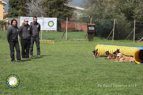 Centro Cinofilo Dogs & Co. Academy asd