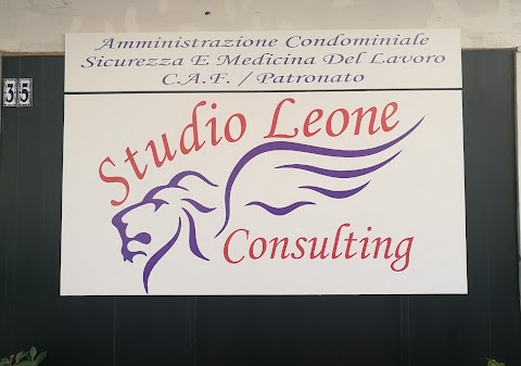 Studio Leone Consulting