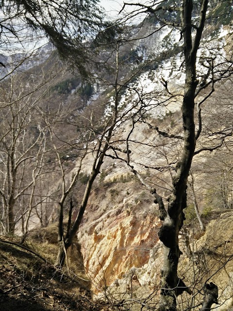 Monte Rotolon