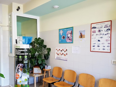 Centro Veterinario Specialistico