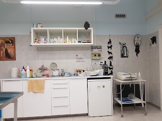 Clinica Vescovio Veterinaria