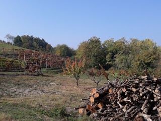 Cappella di Sant'Antonino