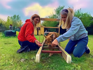 Happydog Scuola per Cani e Famiglie Felici