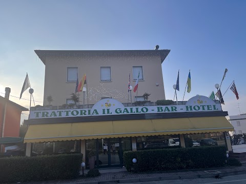 Ristorante - Hotel Il Gallo