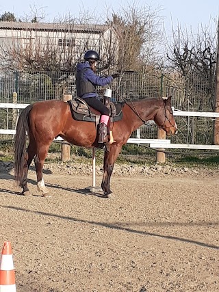 Asd H.D. pepper ranch scuola di equitazione americana