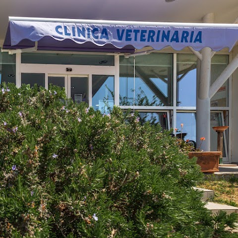 Clinica Veterinaria Costa D'Argento