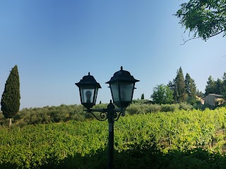 Agriturismo Cameli