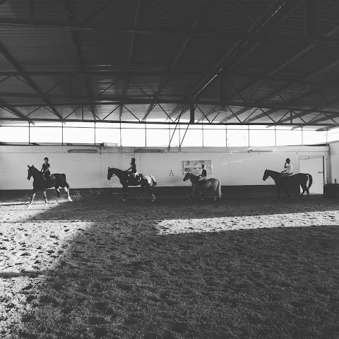 Horse Club Stea - ASD The Dream Scuola di Equitazione