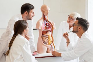 Accademia di Medicina Osteopatica "Alessandro IV"