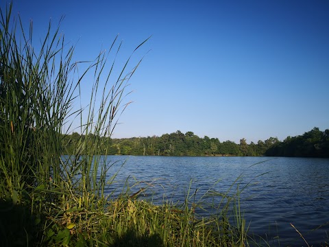 Lake Vogrscek