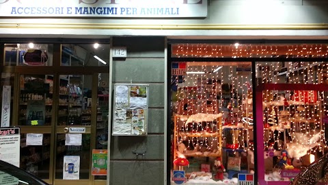 Dog Store di Addazio Marcello Alimenti, accessori per animali, & toeletta professionale