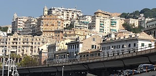 Agenzia di Viaggi Viva Viajes Genova