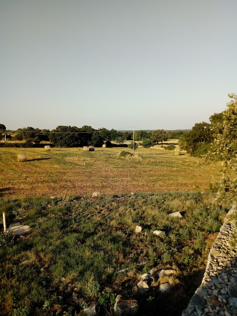 Trulli Capo di Lupo