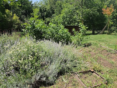 Cascina Valle del Serro