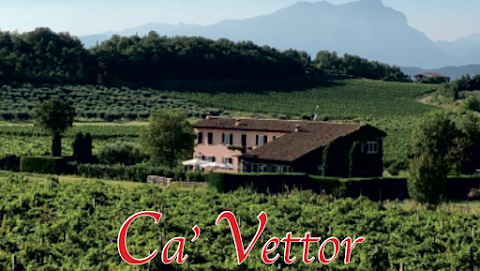 Ca' Vettor - Az. Agr. Cà Vettor