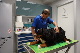 Ambulatorio Veterinario Salò Facchetti Massimo Brescia