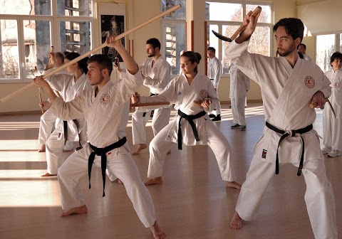 Palestra "Accademia Arti Orientali ASD"