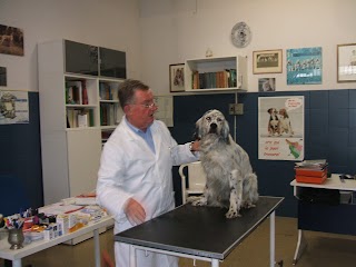 studio veterinario Dr. Marco Boccetti