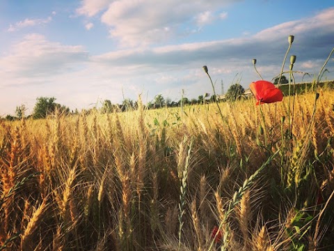 B&B Antica cascina